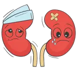 kidney-ani-aditya-sengar